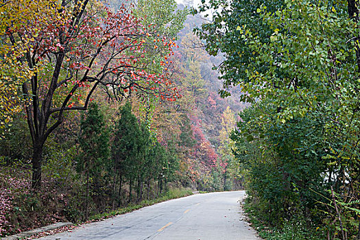 秋天乡村公路