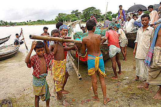 捕鱼,鱼市,孟加拉,七月,2005年