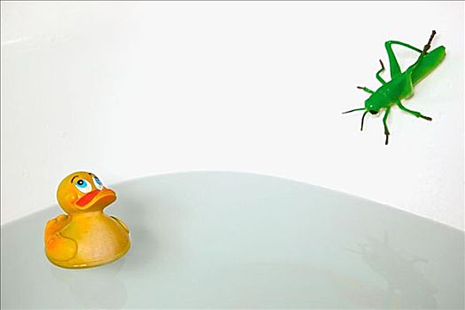 蝗虫,橡皮鸭,浴缸