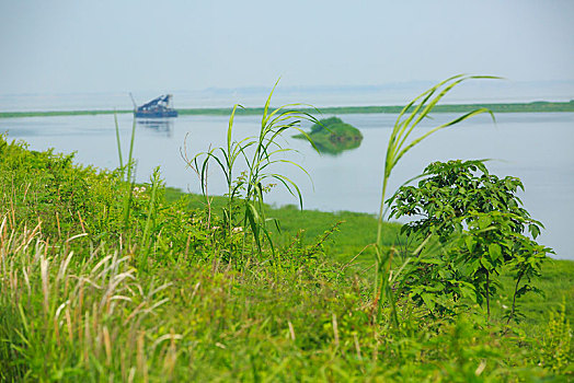 水面,水,俯视