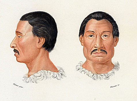 男人,地方特色,人,南方,南,北美,历史,插画,1875年