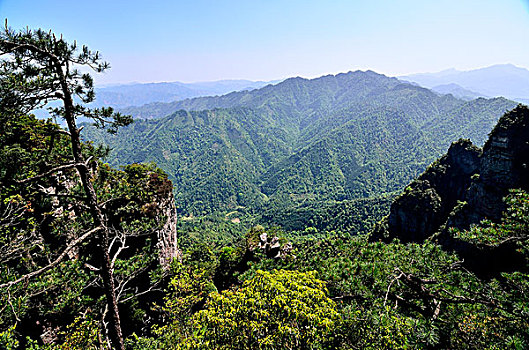 莲花山