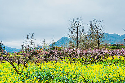 田园春色