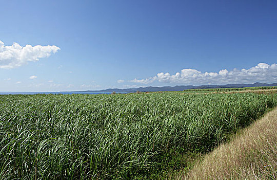 岛屿,城镇,冲绳