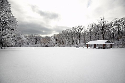 冬天,雪景,多伦多,安大略省,加拿大