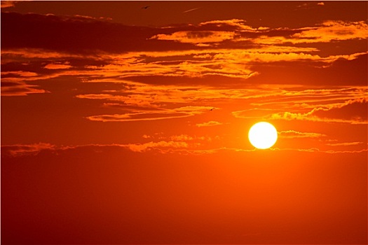 日落,橙色天空,背景,晚间
