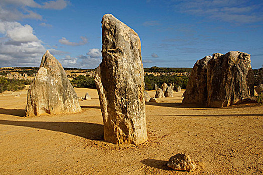 石灰石,顶峰,南邦国家公园,西澳大利亚州,澳大利亚
