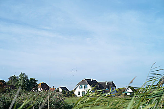 茅草屋顶,屋顶,房子,靠近,梅克伦堡