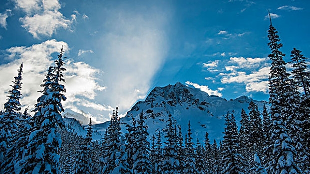 阳光,云,上方,雪,山峰,冬天,不列颠哥伦比亚省,加拿大
