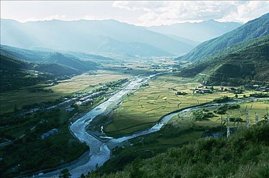 不丹,河,分开,农田,俯视