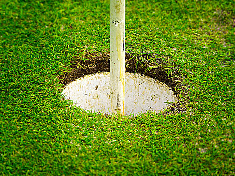 高尔夫,打球入洞,绿色,特写