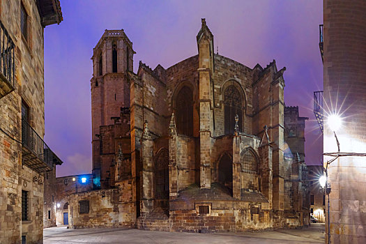 巴塞罗那,大教堂,夜晚,西班牙