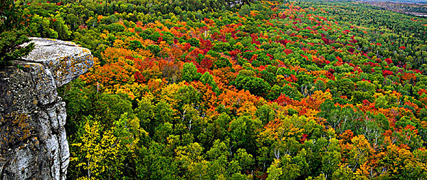 秋色,硬木,树林,杯碟,小路,视点,岛屿,第一,安大略省,加拿大