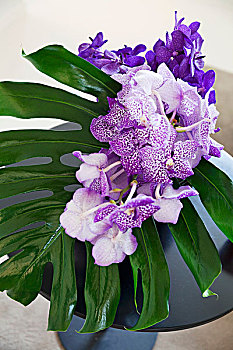 白色,紫色,兰花,叶子,花瓶