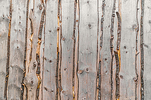 木头,背景,灰色,木板,树皮
