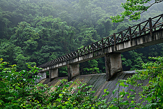 山林水库