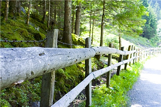 木篱,阿尔卑斯山
