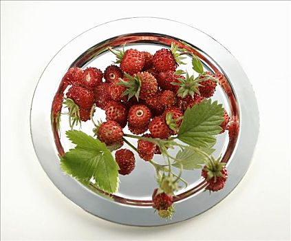 野草莓,银,盘子