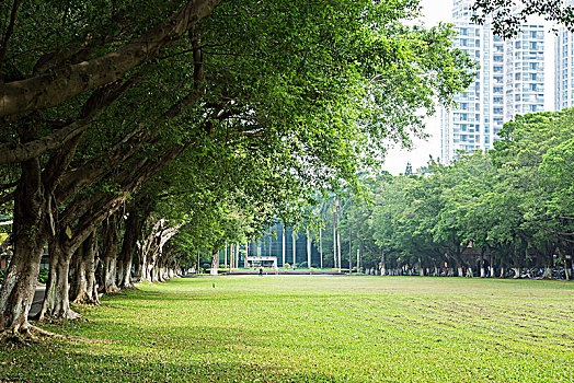 中山大学