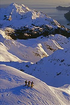 俯视,极限,滑雪者,山脊,基奈,日出,湾,远景,阿拉斯加,冬天