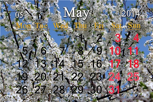 日程,五月,枝条,花