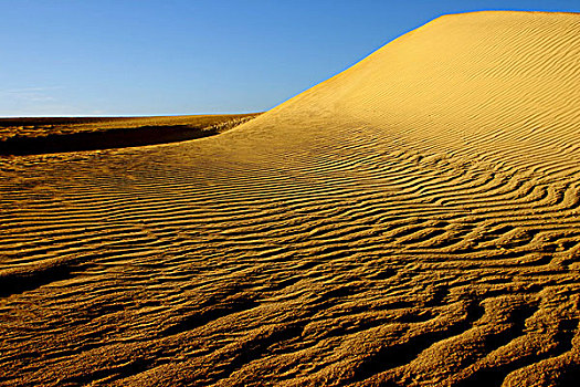 沙丘,南邦国家公园,西澳大利亚州,澳大利亚