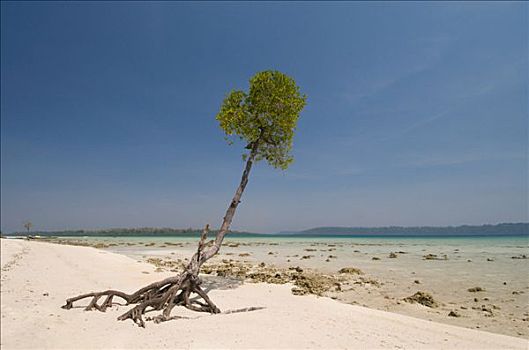 平和,海滩风景