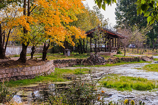 小城束河