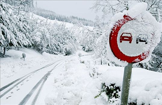 积雪,道路,黎牙实比,西班牙