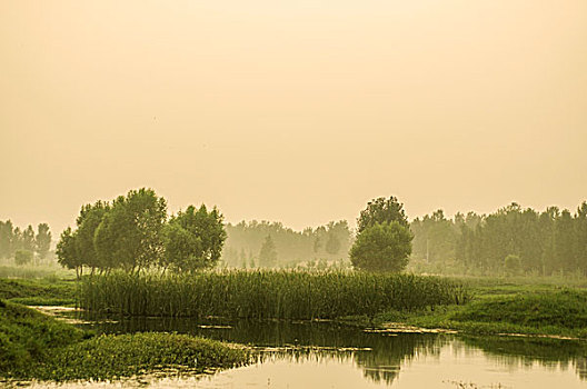 晨曦中的生态湿地