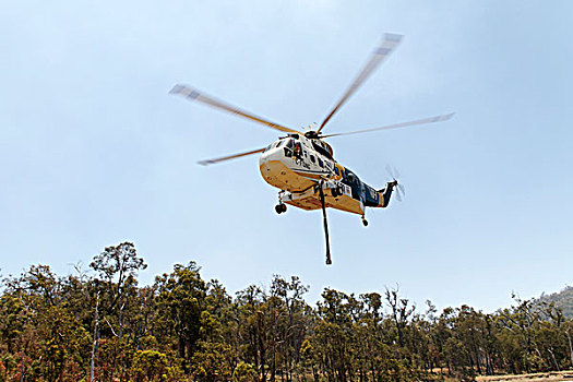 消防,直升飞机,西南方,澳大利亚