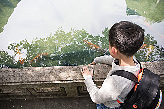 儿童,水池,玉泉池,观鱼