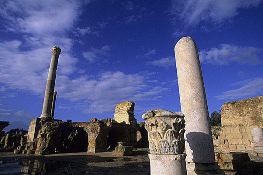 突尼斯,迦太基,残留,罗马,城市,柱子
