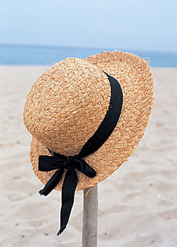 帽子,海滩