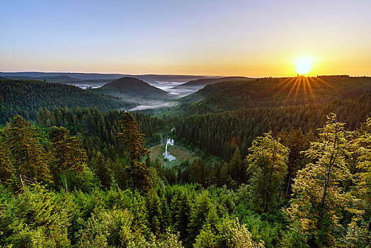 风景,注视,日出,北方,黑森林,巴登符腾堡,德国,欧洲