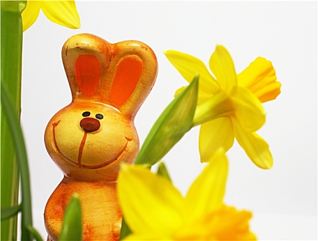 高兴,复活节兔子,花