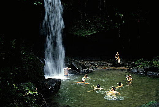 多米尼加,瀑布,雨林,游客,水