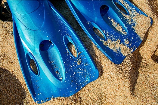蓝色,水中呼吸器,鳍状物,沙子
