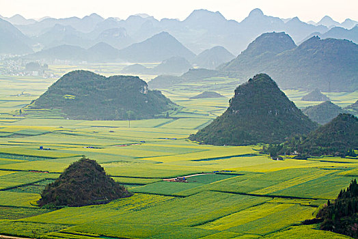 青丘风光