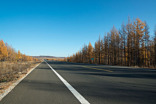 森林公路