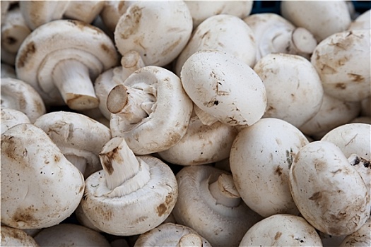 超市蘑菇种类图片