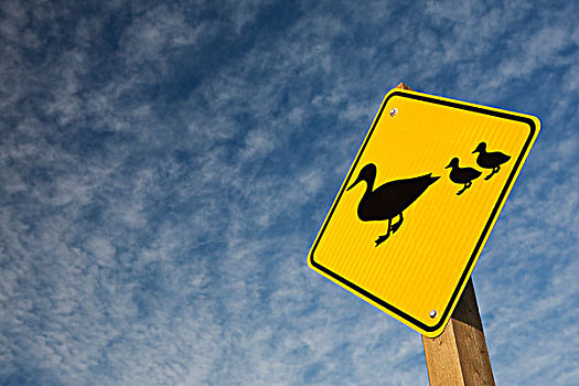 鸭子,标识,艾伯塔省,加拿大
