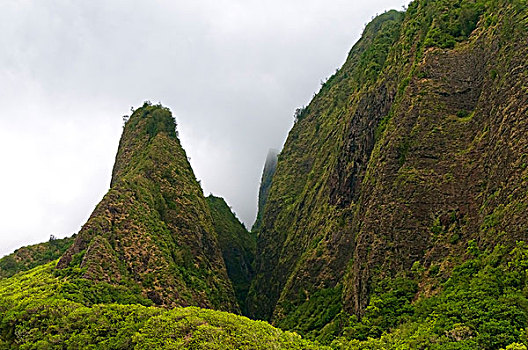针,州立公园,毛伊岛,夏威夷,美国