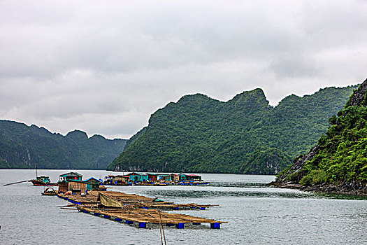 漂浮,渔村,下龙湾,越南,印度支那,东南亚,东方,亚洲