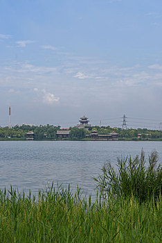 天津市西青区水西公园郊野风光