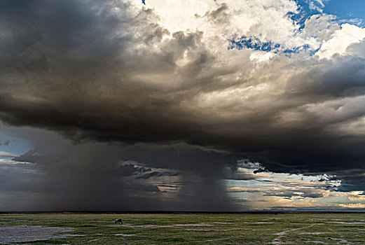 风暴,上方,斜坡,乞力马扎罗山,安伯塞利国家公园,肯尼亚,非洲