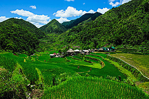 稻米梯田,巴纳韦,北方,吕宋岛,菲律宾