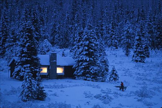 小屋,圣诞树,峰顶湖,冬天,景色