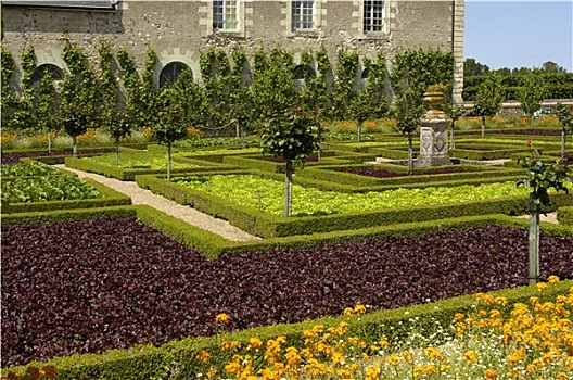 法国,正规花园,维朗德里城堡