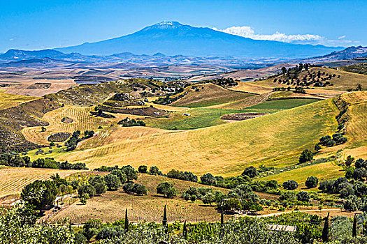 农田,埃特纳山,背景,靠近,西西里,意大利